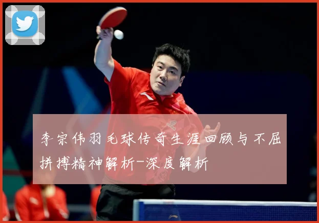 李宗伟羽毛球传奇生涯回顾与不屈拼搏精神解析-深度解析