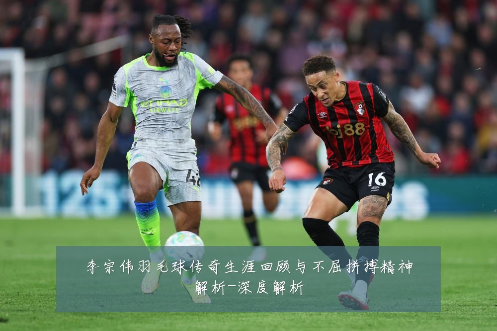 李宗伟羽毛球传奇生涯回顾与不屈拼搏精神解析-深度解析